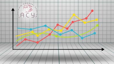 Ціни на живець свиней