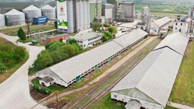 птахофабрика МХП фото