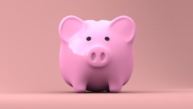 скарбничка порося фото