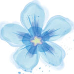 Profile picture of annakearney