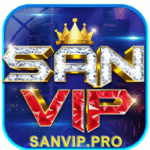 Profile picture of sanvippro