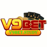 Profile picture of v9betstudy