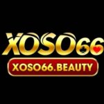 Profile picture of xoso66beauty