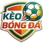 Profile picture of keobongdauytin1