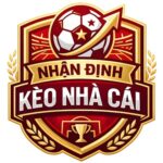 Profile picture of nhandinhkeonhacaiisacom
