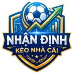 Profile picture of nhandinhkeonhacai5innet