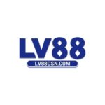 Profile picture of lv88csncom